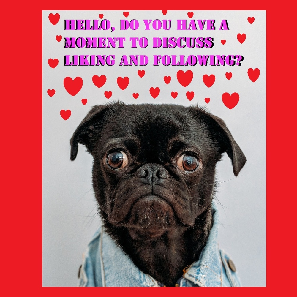 Help Me Reach 15,000 Followers!!